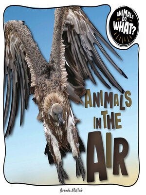 cover image of Animals in the Air